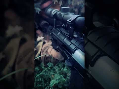 RIFT: Glass Veil (GBB-only)